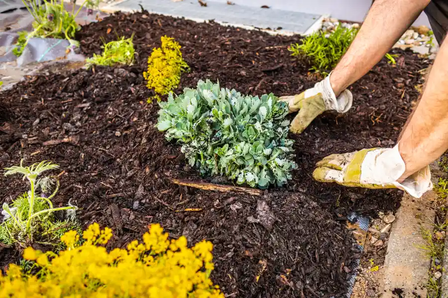 Gardening Services