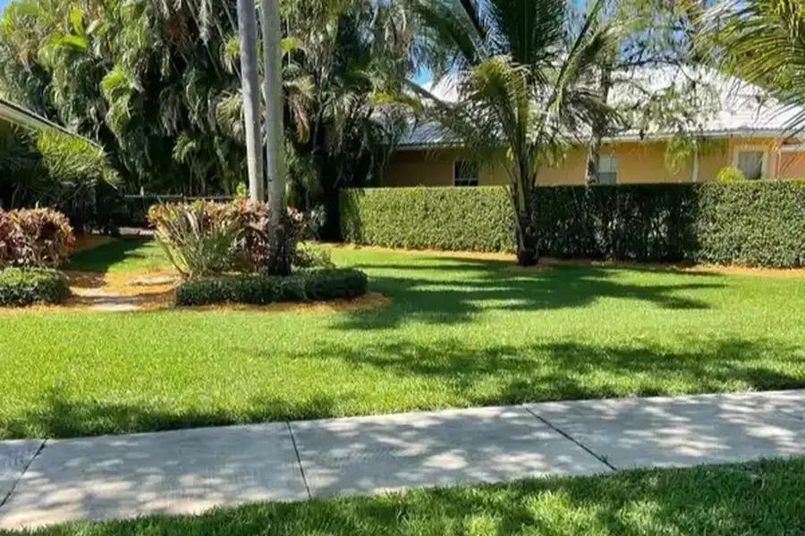 Landscape Design Services
