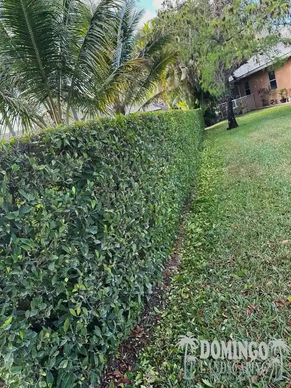 Landscaping