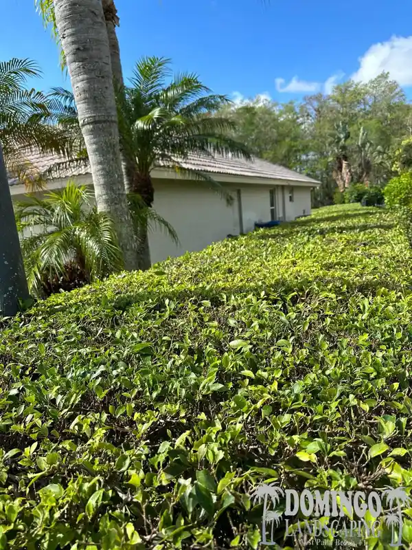 Landscaping