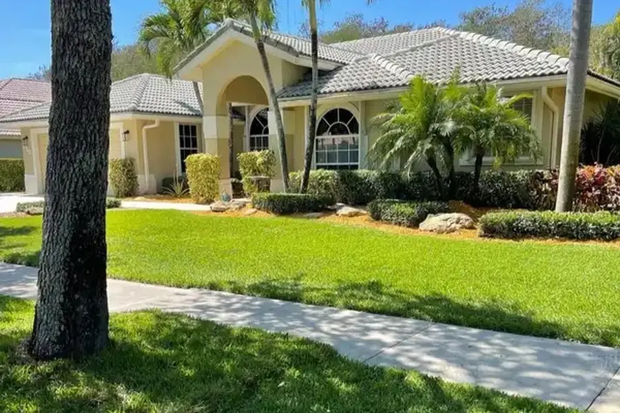 Tree Services