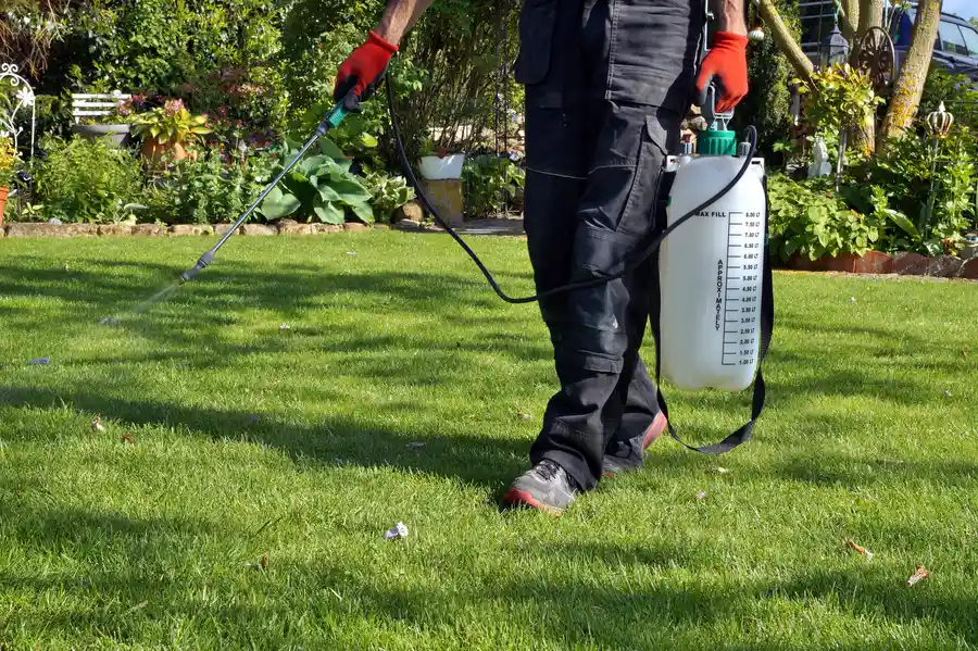 How to Maintain a Lawn Loxahatchee FL How to Maintain a Lawn Loxahatchee FL