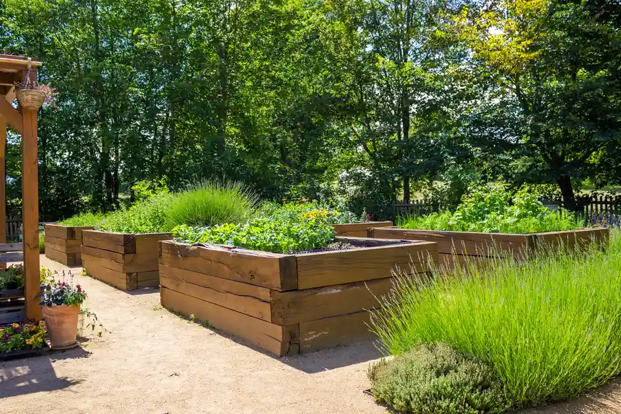 How to Make a Raised Bed For Gardening Loxahatchee FL How to Make a Raised Bed For Gardening Loxahatchee FL